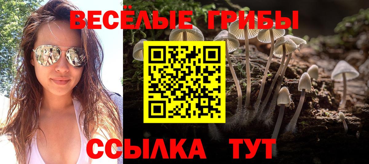 Галлюциногенные грибы GOLDEN TEACHER Выкса