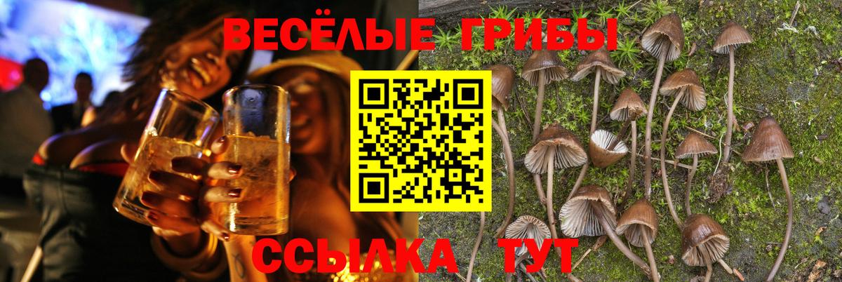 Выкса  Галлюциногенные грибы GOLDEN TEACHER  как найти закладки  Вход с VPN 